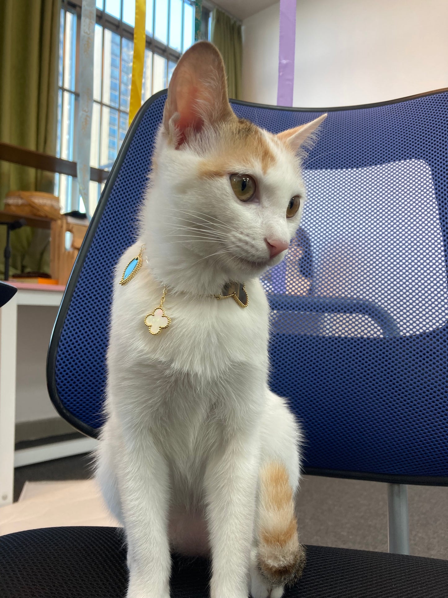 Worldwide Jewelry in the live($)